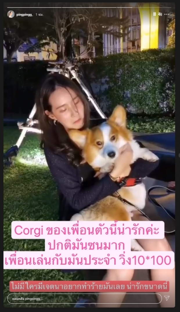 ทัวร์ลง ปมถ่ายคลิปเอาถุงครอบหัวหมา ล่าสุดดาราสาวโพสต์ขอโทษ 