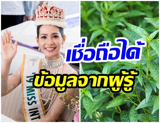 บิ๊นท์ สิรีธร เเนะวิธีใช้ฟ้าทะลายโจรสู้โควิด19 หลังเรียนจบเภสัชกรโดยตรง