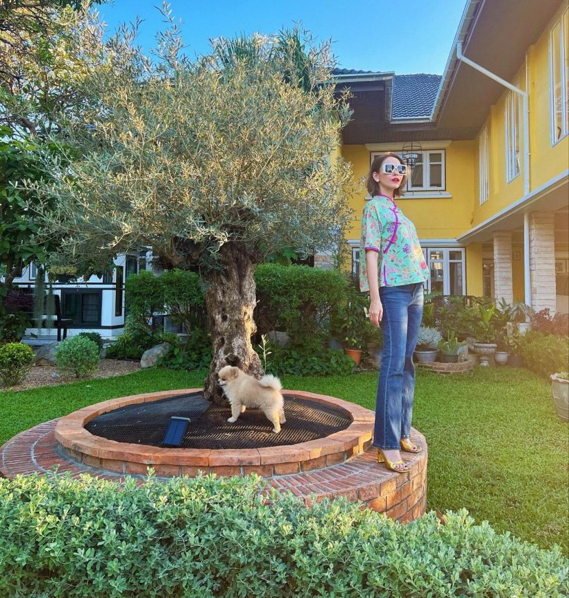 นัท-อั้ม อวดโฉมต้นโอลีฟอายุ300ปี สวยเด่นตั้งอยู่กลางสวนบ้าน