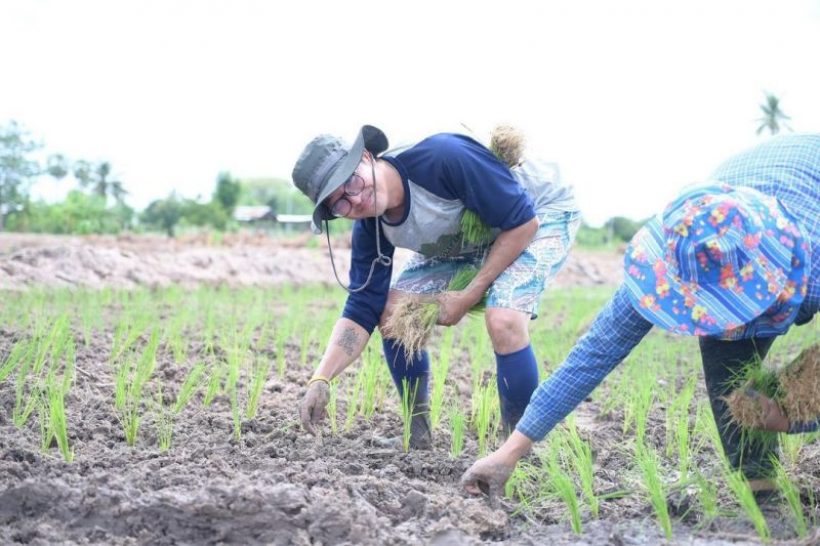 เปิดภาพนักแสดงดังหายจากวงการไปทำนาปลูกข้าว ลงแรงปักดำกับมือ