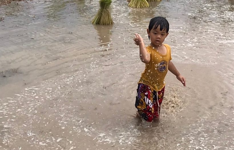 เปิดภาพนักแสดงดังหายจากวงการไปทำนาปลูกข้าว ลงแรงปักดำกับมือ