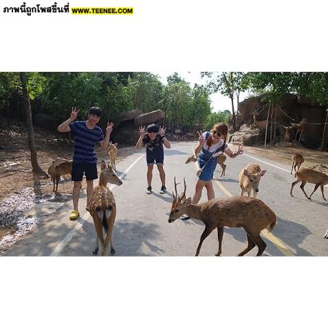 ริท เรืองฤทธิ์