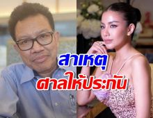 ทนายเดชา เฉลยทำไมใบเตย สุธีวัน ได้รับการประกันตัว