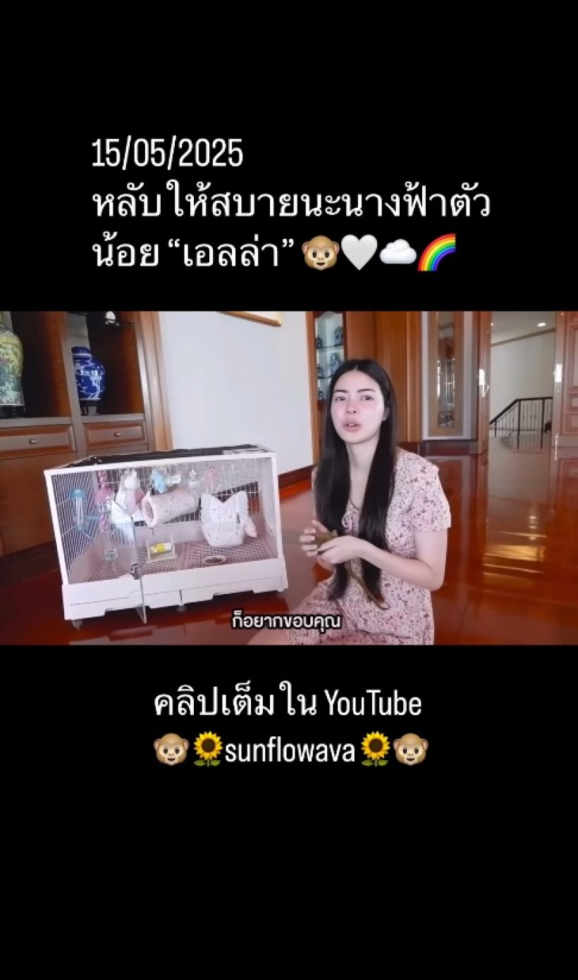เอวา ปวรวรรณ ร่ำไห้สูญเสียครั้งสำคัญ เบลล่าให้กำลังใจทันที