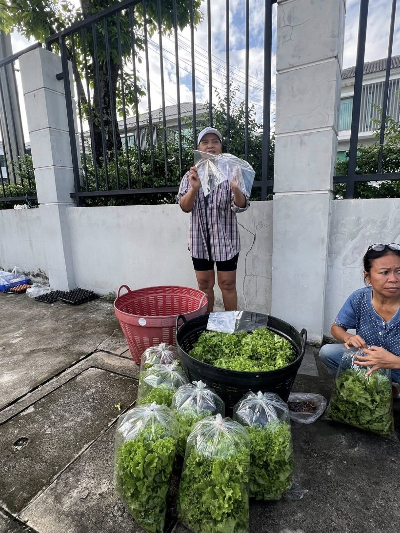 ไม่อายทำกิน! เธอคนนี้ สลัดลุคดาราตัวท็อป ยืนขายผักริมถนน