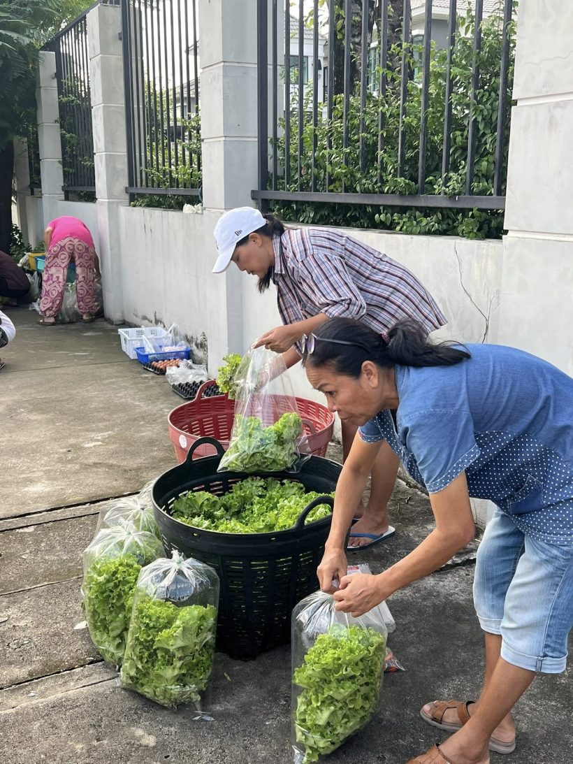ไม่อายทำกิน! เธอคนนี้ สลัดลุคดาราตัวท็อป ยืนขายผักริมถนน