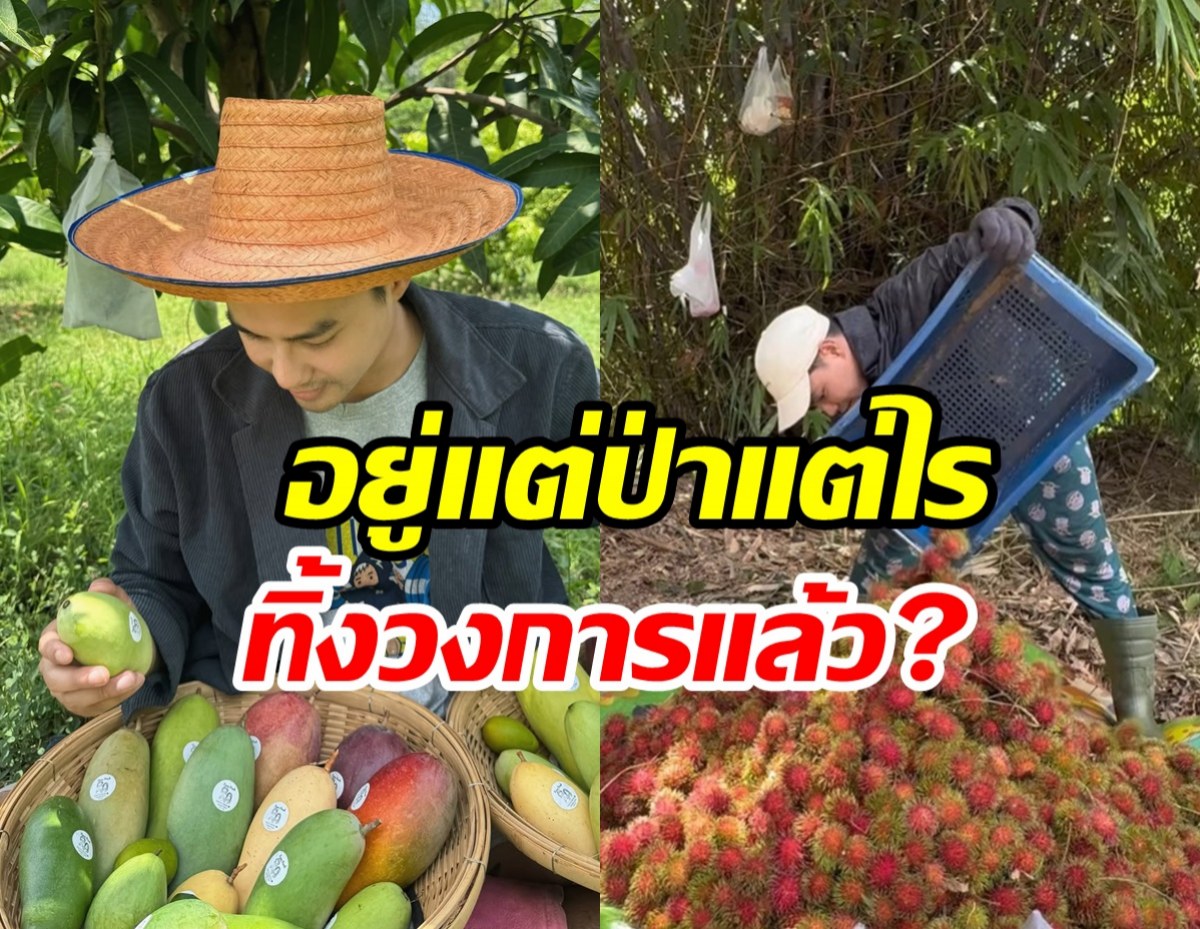 พระเอกดังหายหน้าเข้าป่าเข้าสวน ยังรับงานบันเทิงอยู่ไหม?