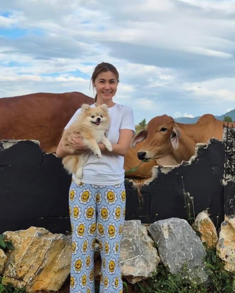 จ๊ะจ๋า พริมรตา อวดวิวบ้านที่เขาใหญ่ วัวเดินผ่าน รายล้อมไปด้วยธรรมชาติ