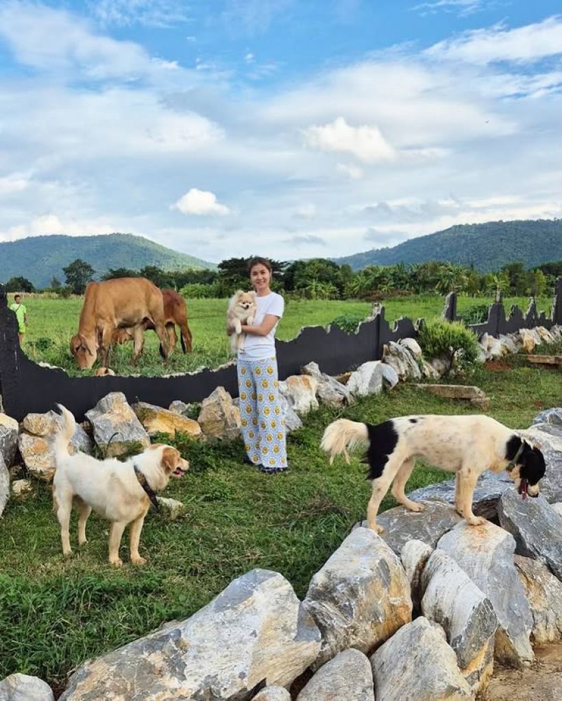 จ๊ะจ๋า พริมรตา อวดวิวบ้านที่เขาใหญ่ วัวเดินผ่าน รายล้อมไปด้วยธรรมชาติ