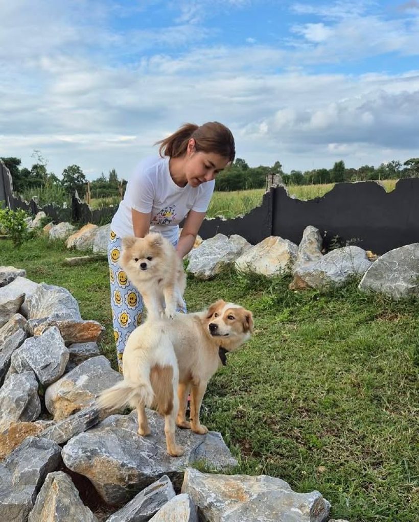 จ๊ะจ๋า พริมรตา อวดวิวบ้านที่เขาใหญ่ วัวเดินผ่าน รายล้อมไปด้วยธรรมชาติ
