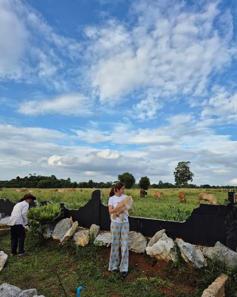 จ๊ะจ๋า พริมรตา อวดวิวบ้านที่เขาใหญ่ วัวเดินผ่าน รายล้อมไปด้วยธรรมชาติ
