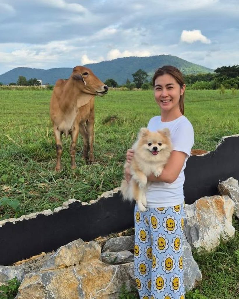 จ๊ะจ๋า พริมรตา อวดวิวบ้านที่เขาใหญ่ วัวเดินผ่าน รายล้อมไปด้วยธรรมชาติ