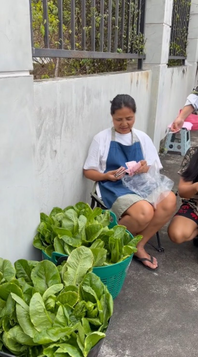 แห่ช่วยอุดหนุน! ดาราดัง ไม่อายทำกิน นั่งขายผักริมถนน