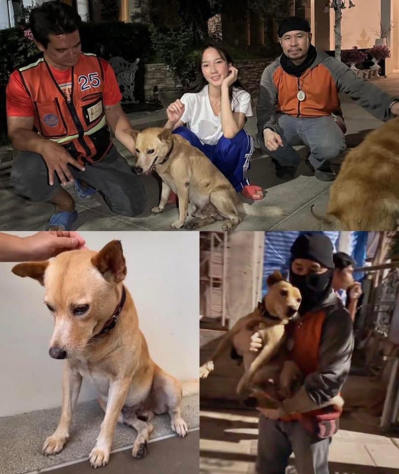 หัวใจสลาย! อั้มพัชราภาเผยข่าวเศร้าของเจ้าถั่วน้องหมาสุดเลิฟ