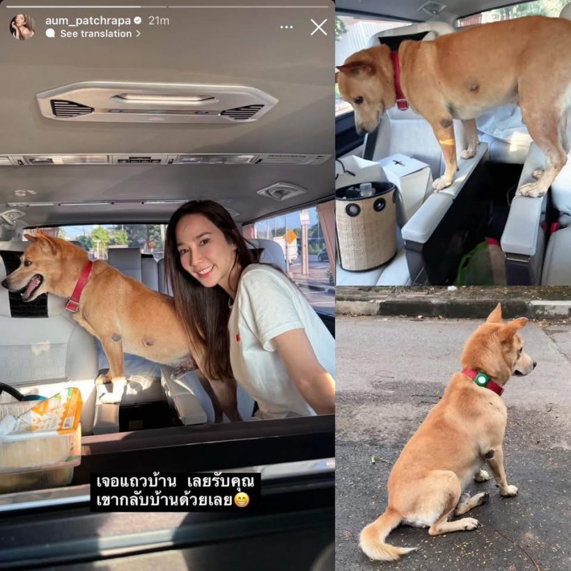หัวใจสลาย! อั้มพัชราภาเผยข่าวเศร้าของเจ้าถั่วน้องหมาสุดเลิฟ