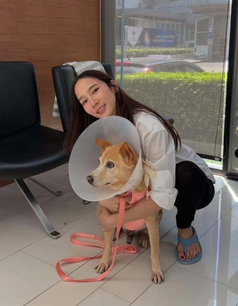 หัวใจสลาย! อั้มพัชราภาเผยข่าวเศร้าของเจ้าถั่วน้องหมาสุดเลิฟ