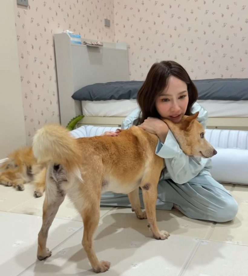 หัวใจสลาย! อั้มพัชราภาเผยข่าวเศร้าของเจ้าถั่วน้องหมาสุดเลิฟ