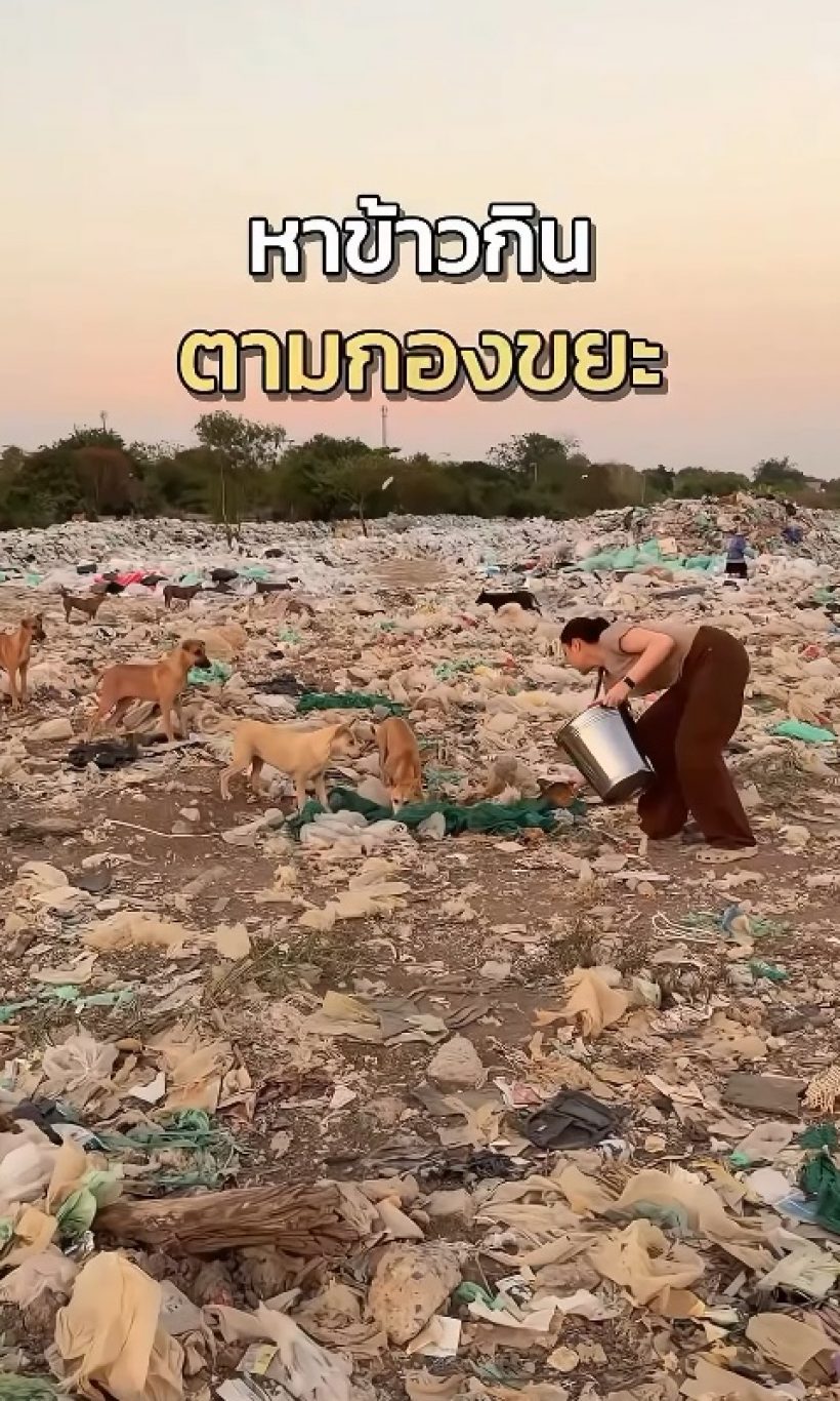 นี่แหละ พระเอกนางเอกตัวจริง ทำอาหารให้หมาจร 500 ชีวิต