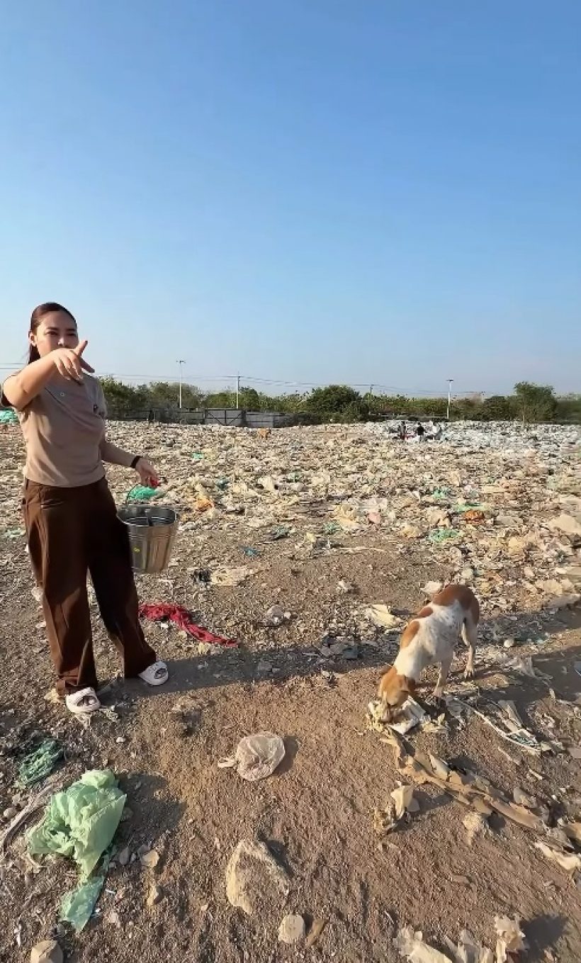 นี่แหละ พระเอกนางเอกตัวจริง ทำอาหารให้หมาจร 500 ชีวิต
