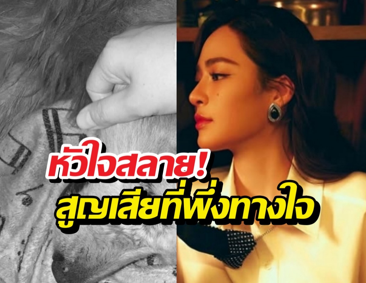 แห่กอดหลิงหลิง หลังเจอความสูญเสียครั้งใหญ่