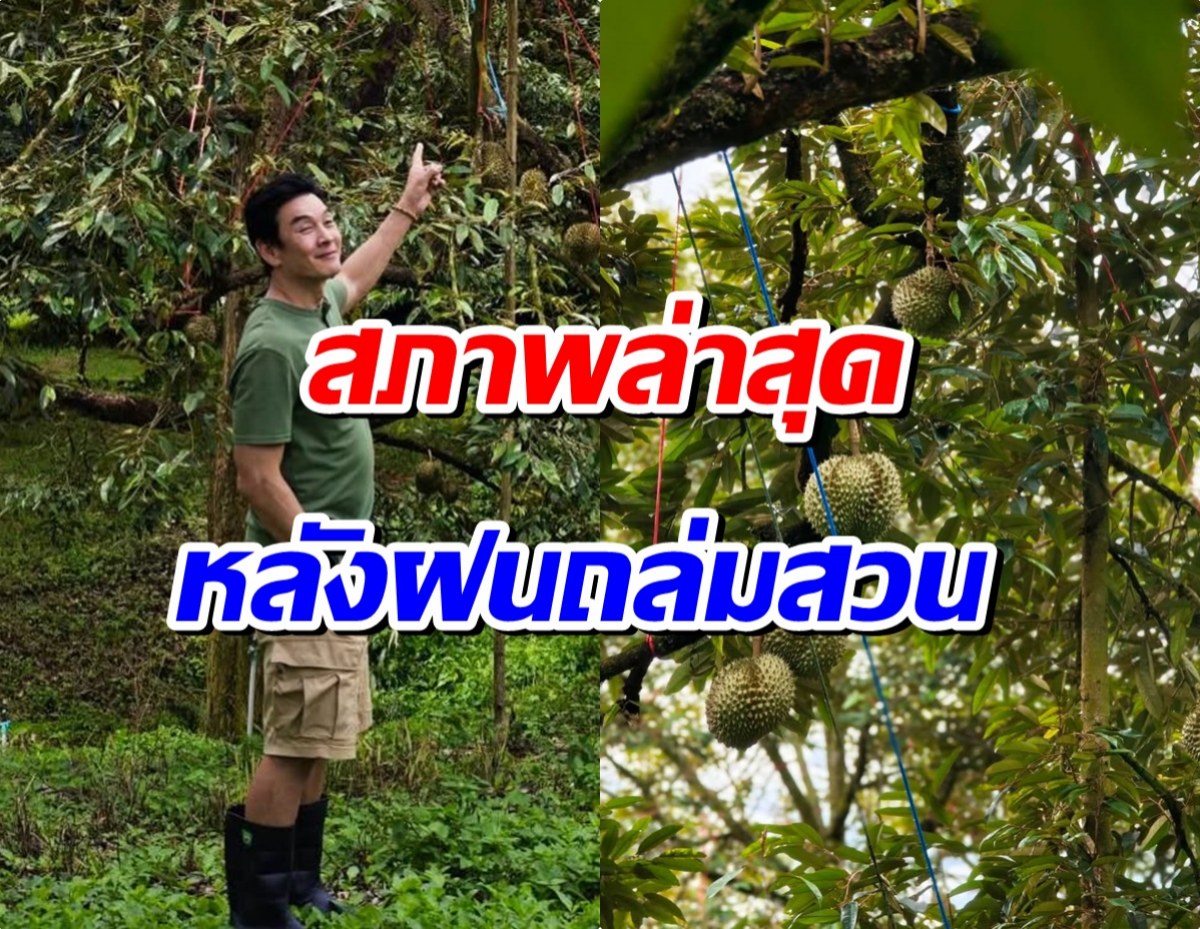 สู้ชีวิตมาก! ชาคริต อัปเดตสวนทุเรียนหลังฝนถล่ม สภาพเป็นเเบบนี้