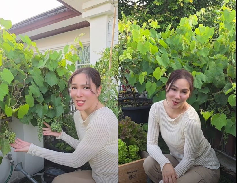 ไม่ได้มีดีแค่ในจอ! จอย รินลณี โชว์ฝีมือทำสวนผักงามจนร้องว้าว