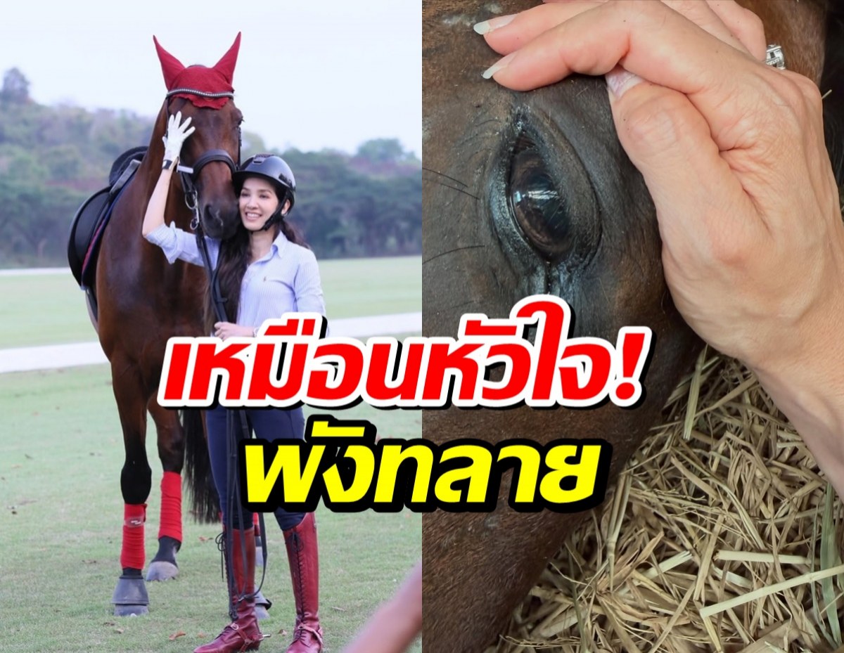 ใจสลาย... นุสบา สูญเสียม้าคู่ใจ อยู่ด้วยกันมานานกว่า 10 ปี