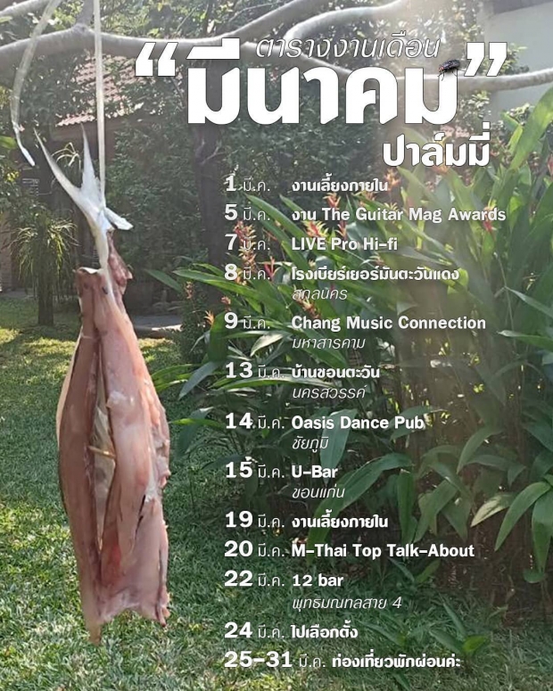  เปิดตารางงานสุดพีค  ปาล์มมี่  เเต่ละอันไปสุดมาก!