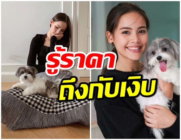 เปิดราคา เจ้า ฮาป้าปากาโลโล่ สุนัขของ ญาญ่า น่ารักสุดๆไปเลย 