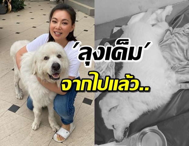 สิ้นแล้ว...‘ลุงเค็ม’ สุนัขที่รัก ‘บุ๋ม ปนัดดา’ หลังป่วยหนัก