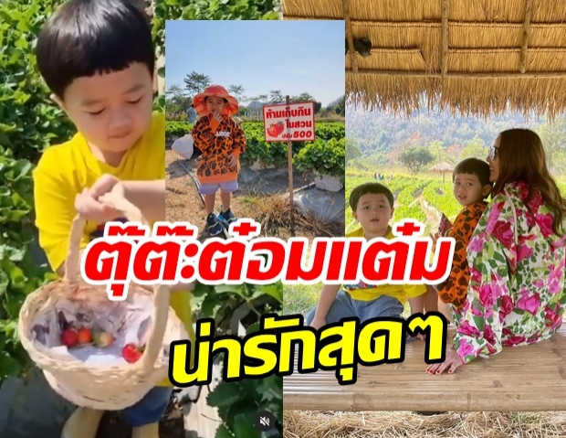 ชมความน่ารัก สายฟ้า-พายุ เยือนเขาใหญ่ ทัวร์ไร่องุ่น ลุยเก็บสตรอว์เบอร์รี่