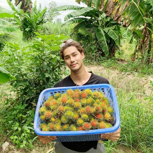 เปิดชีวิตอีกมุมของ พระเอกช่อง 3 ชวนแฟนสาว เข้าป่าเก็บเห็ดโคน