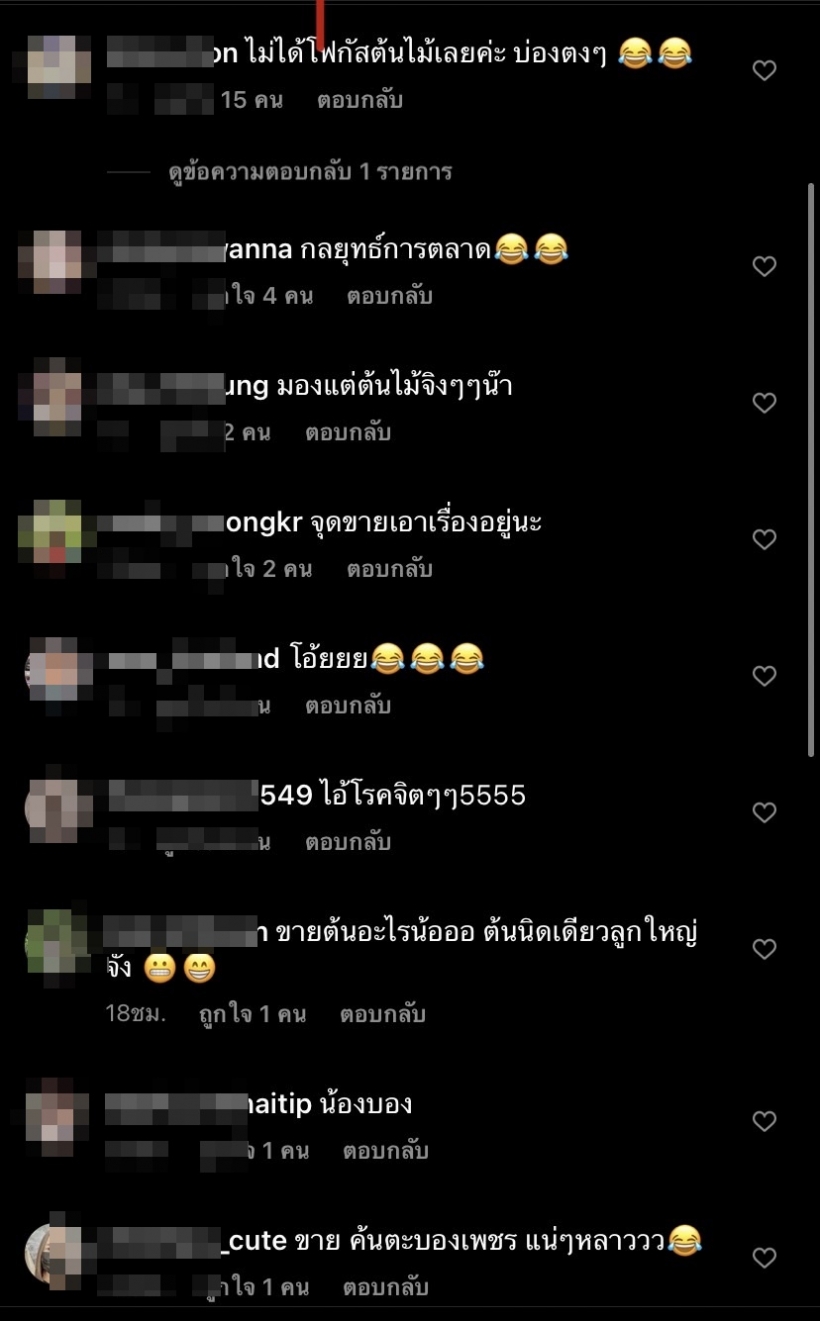   โซเชียลแตก! พระเอกช่องมากสี ไลฟ์โชว์ต้นไม้แต่ถูกโฟกัสผิดจุด