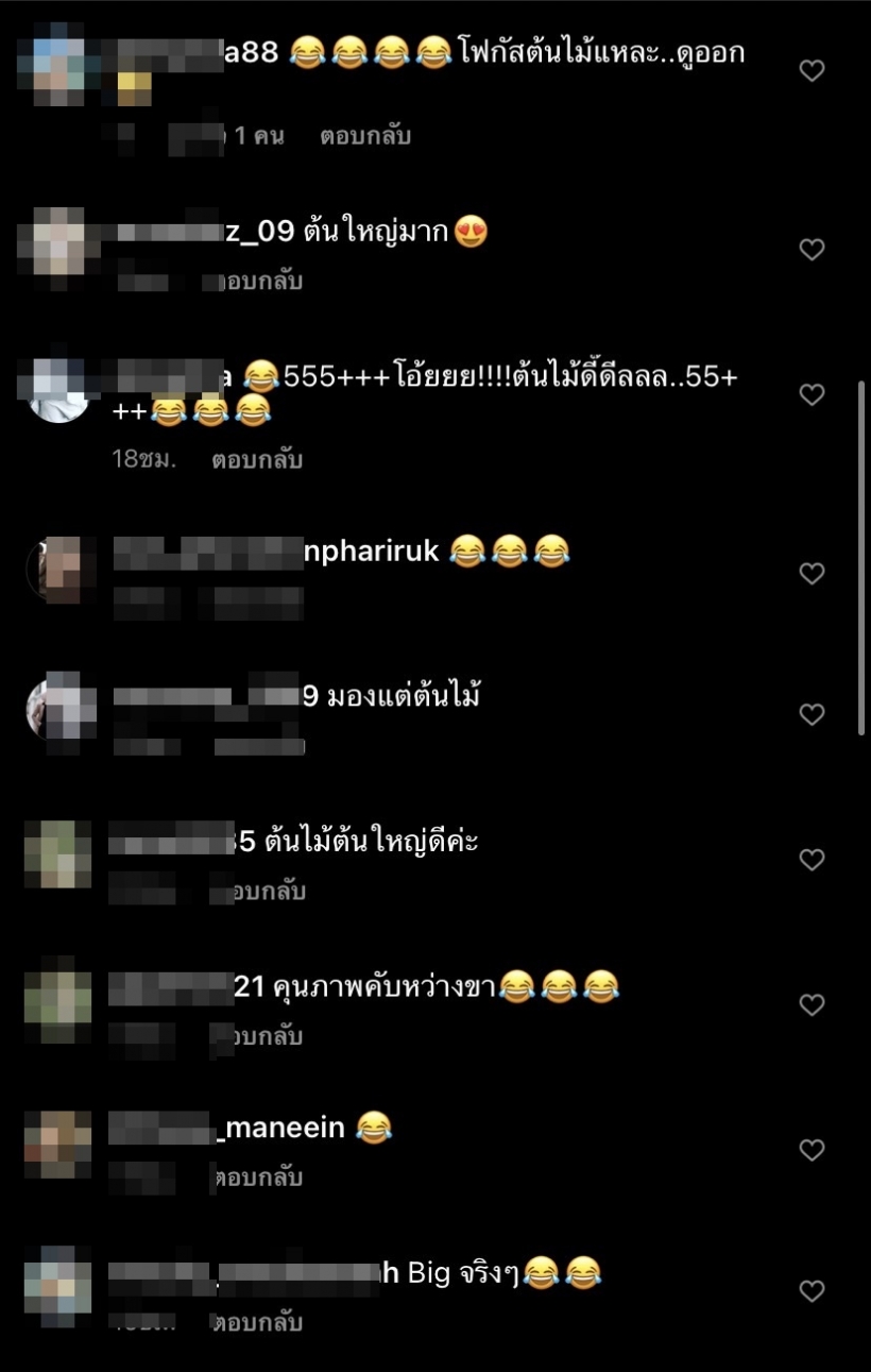   โซเชียลแตก! พระเอกช่องมากสี ไลฟ์โชว์ต้นไม้แต่ถูกโฟกัสผิดจุด