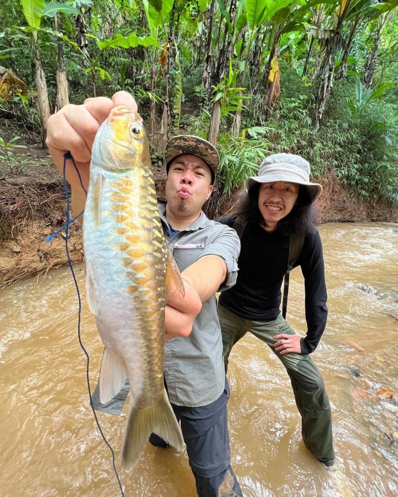 หาทำ! ดีเจภูมิ ทำเมนูพิษดารใช้สัตว์ชนิดนี้ ชาวเน็ตเตือนระวังทัวร์ลง 