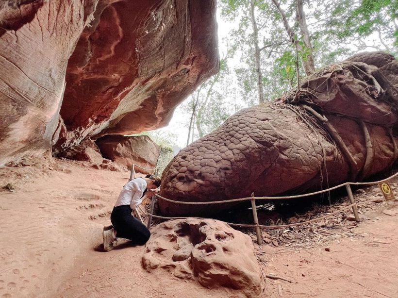 เนย โชติกา เผยภาพโขดหินรูปร่างคล้ายงู ใครเห็นก็บอกขนลุก!