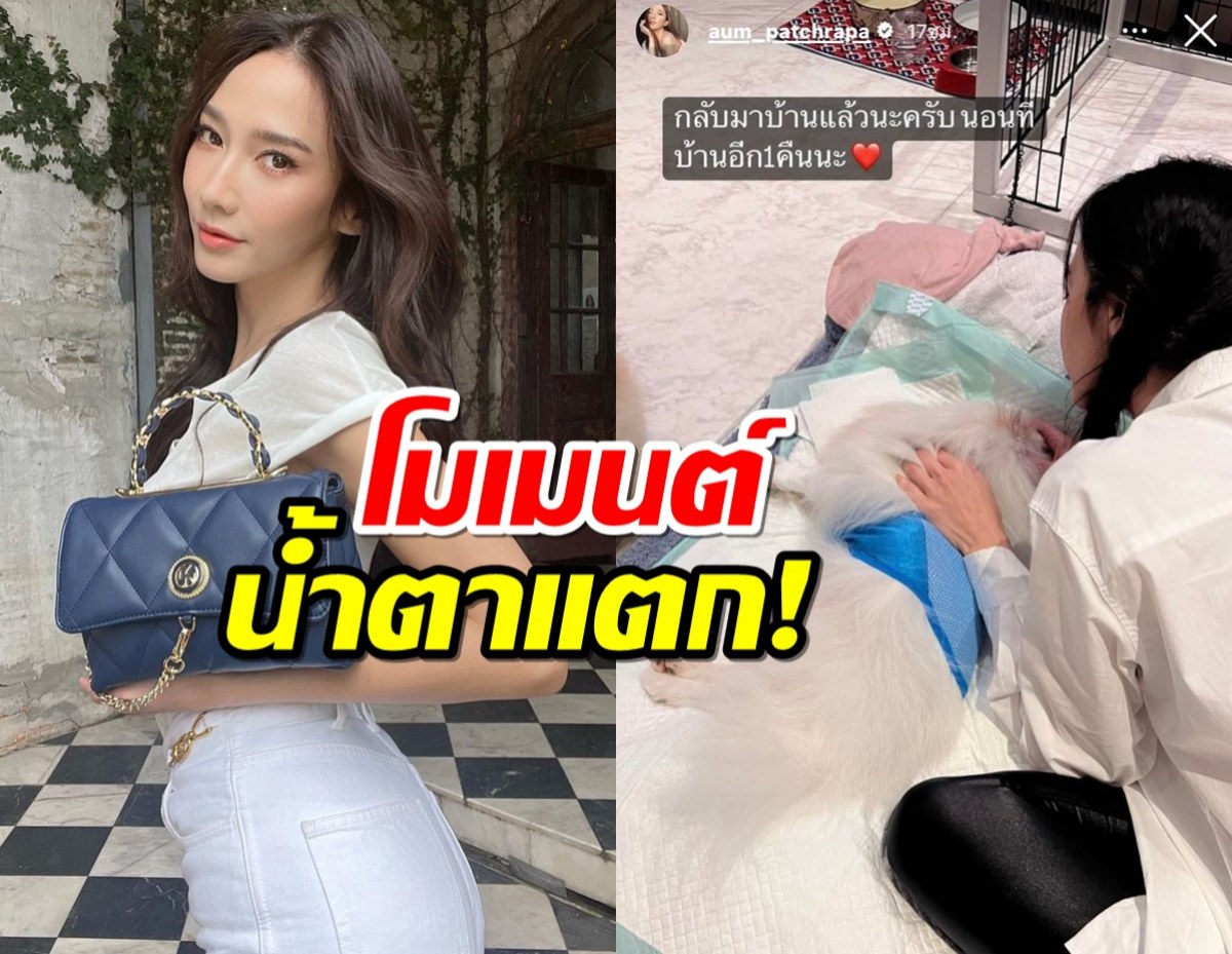 น้ำตาแตก! อั้ม พัชราภา สุดเศร้า สูญเสียน้องไตเติ้ลไปไม่มีวันกลับ