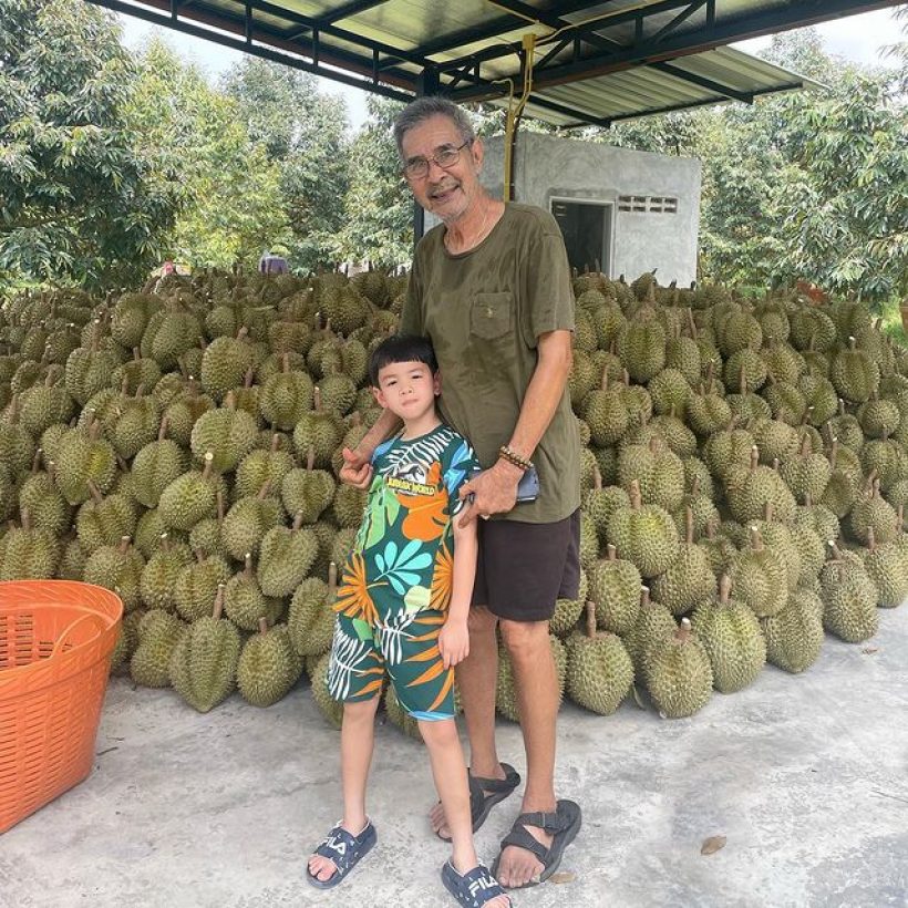 ส่องผลผลิตทุเรียน30ไร่ ชลิต เฟื่องอารมย์ ลูกค้าเหมาเกลี้ยงรับทรัพย์จุกๆ