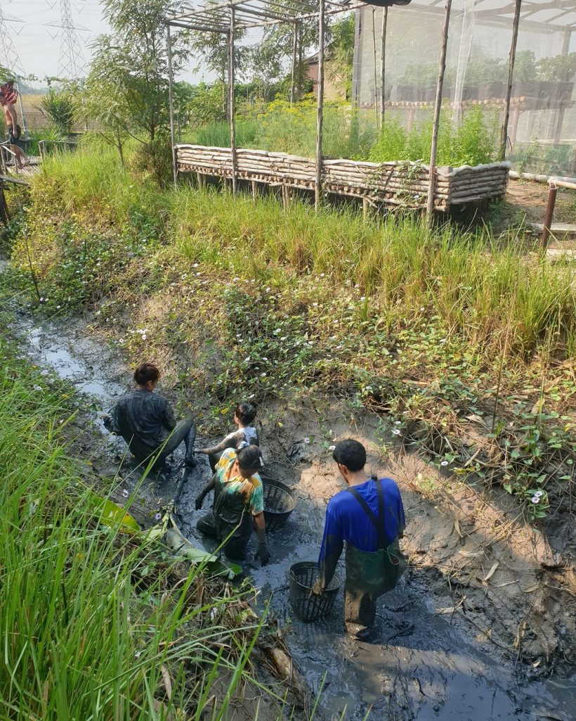  เปิดภาพลูกชายซุปตาร์ดัง ลุยโคลนจับปลาตามวิถีชาวไร่ติดดินสุดๆ