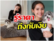 เปิดราคา เจ้า ฮาป้าปากาโลโล่ สุนัขของ ญาญ่า น่ารักสุดๆไปเลย