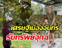 ส่องผลผลิตทุเรียน30ไร่ ชลิต เฟื่องอารมย์ ลูกค้าเหมาเกลี้ยงรับทรัพย์จุกๆ