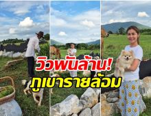 จ๊ะจ๋า พริมรตา อวดวิวบ้านที่เขาใหญ่ วัวเดินผ่าน รายล้อมไปด้วยธรรมชาติ