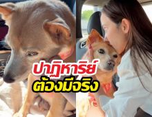 หัวใจสลาย! อั้มพัชราภาเผยข่าวเศร้าของเจ้าถั่วสุดเลิฟ