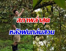 สู้ชีวิตมาก! ชาคริต อัปเดตสวนทุเรียนหลังฝนถล่ม สภาพเป็นเเบบนี้