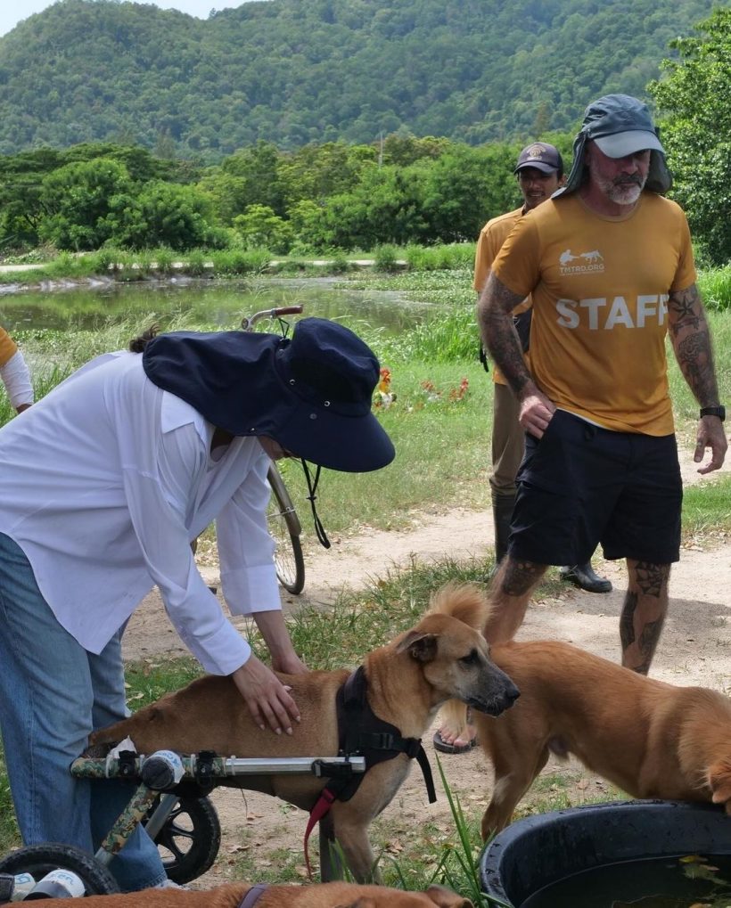 นางฟ้าเดินดิน ปูเเท็กทีมอั้ม ช่วยเหลือน้องหมาพิการ ใจฟูสุดๆ