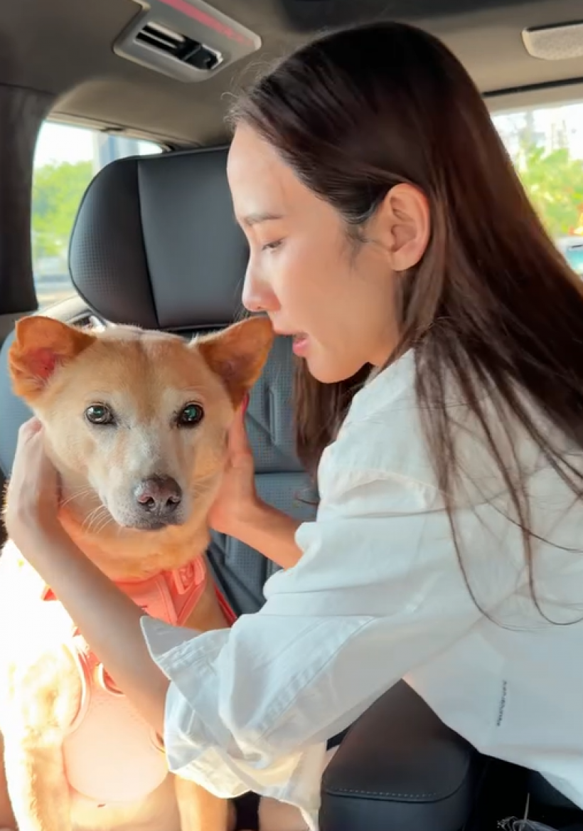 เเฟนๆใจหายถ้วนหน้า อั้ม พัชราภา เเจ้งข่าวเรื่องสำคัญ