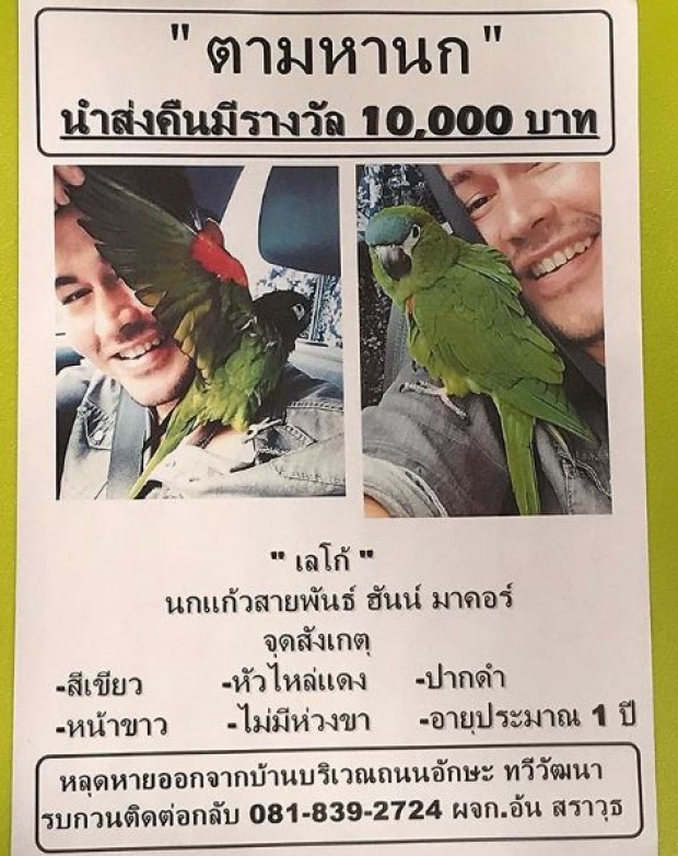“อ้น สราวุธ” นกหาย!! ประกาศตามหา “เลโก้” นกแก้วตัวโปรด ใครพบมีรางวัลให้ 10,000 บาท