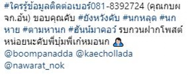 “อ้น สราวุธ” นกหาย!! ประกาศตามหา “เลโก้” นกแก้วตัวโปรด ใครพบมีรางวัลให้ 10,000 บาท