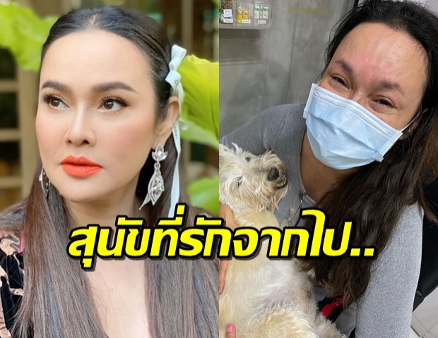 ‘ใหม่ เจริญปุระ’ ไว้อาลัย ‘ไอรีแลนด์’ สุนัขสุดที่รักจากไปไม่มีวันกลับ