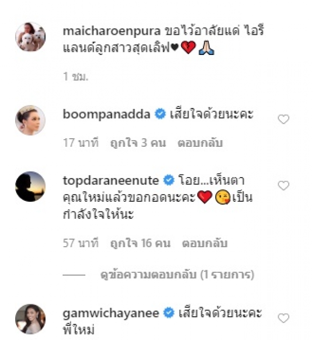 ‘ใหม่ เจริญปุระ’ ไว้อาลัย ‘ไอรีแลนด์’ สุนัขสุดที่รักจากไปไม่มีวันกลับ